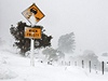 Jarní Nový Zéland ochromil sníh.
